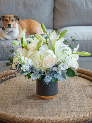 Same Day Sympathy Flowers Delivery