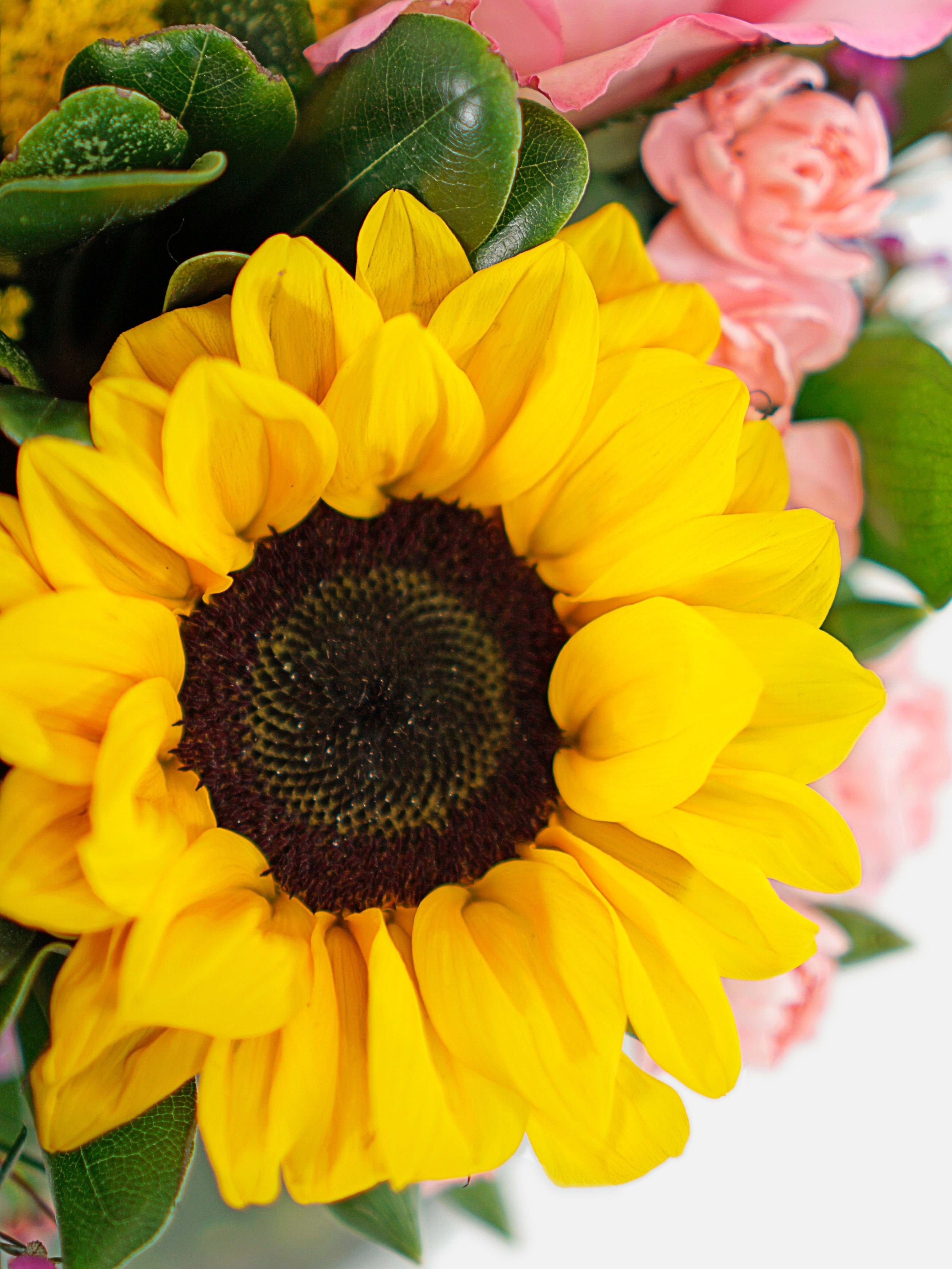 Thank you Send Smiles