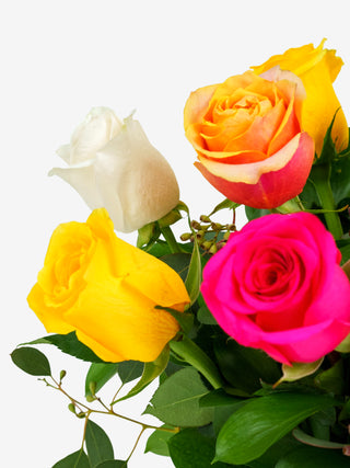 Assorted-Roses-Close