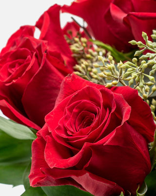 Long stem red roses close view, perfect for romantic occasions and valentines.