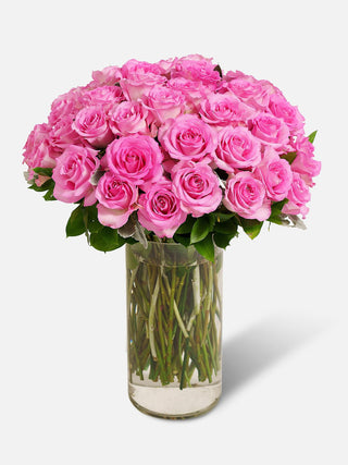 36 Pink Roses