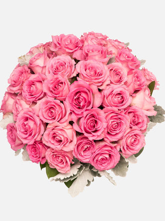 36 Pink Roses