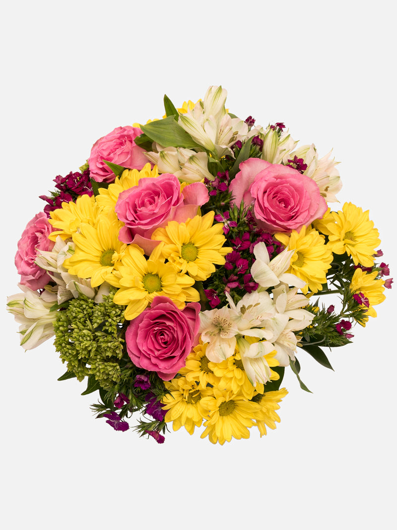 Shop All Send Smiles